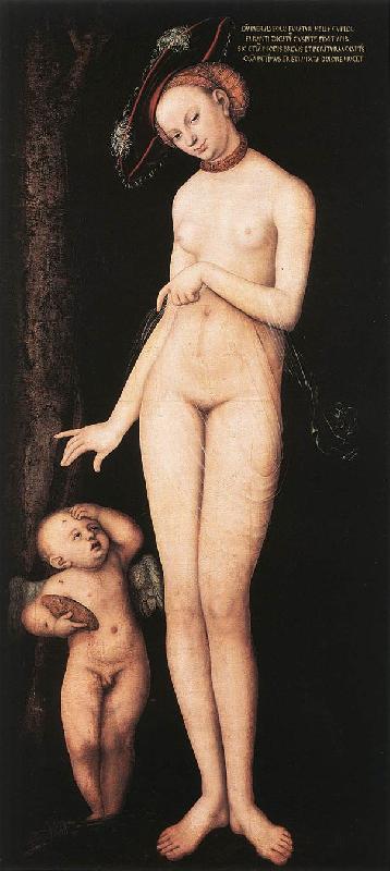 CRANACH, Lucas the Elder Venus and Cupid dsf oil painting image